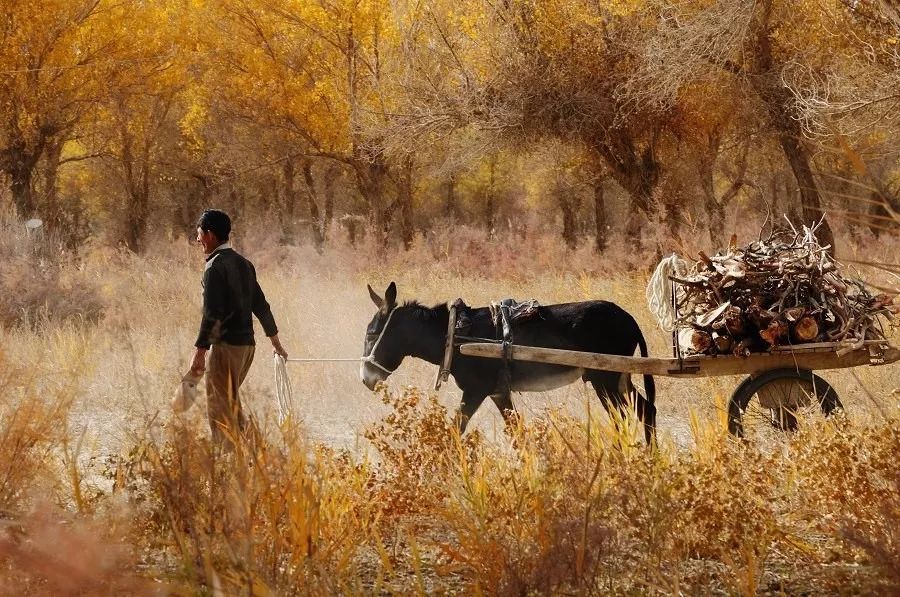 北京私家车运输，让你实现说走就走的旅行(图1)